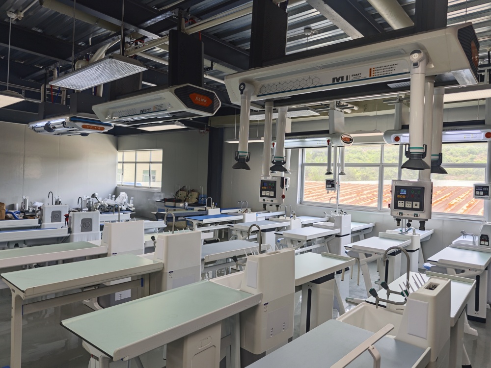 專業定制，品質保證：量身打造最適合您的理化生智能吊裝實驗室