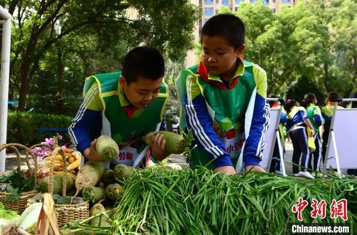 資料圖：2020年9月25日，蘭州市紅山根小學“心根農莊”里上演了一場特別的豐收節會?！〈蘖铡z